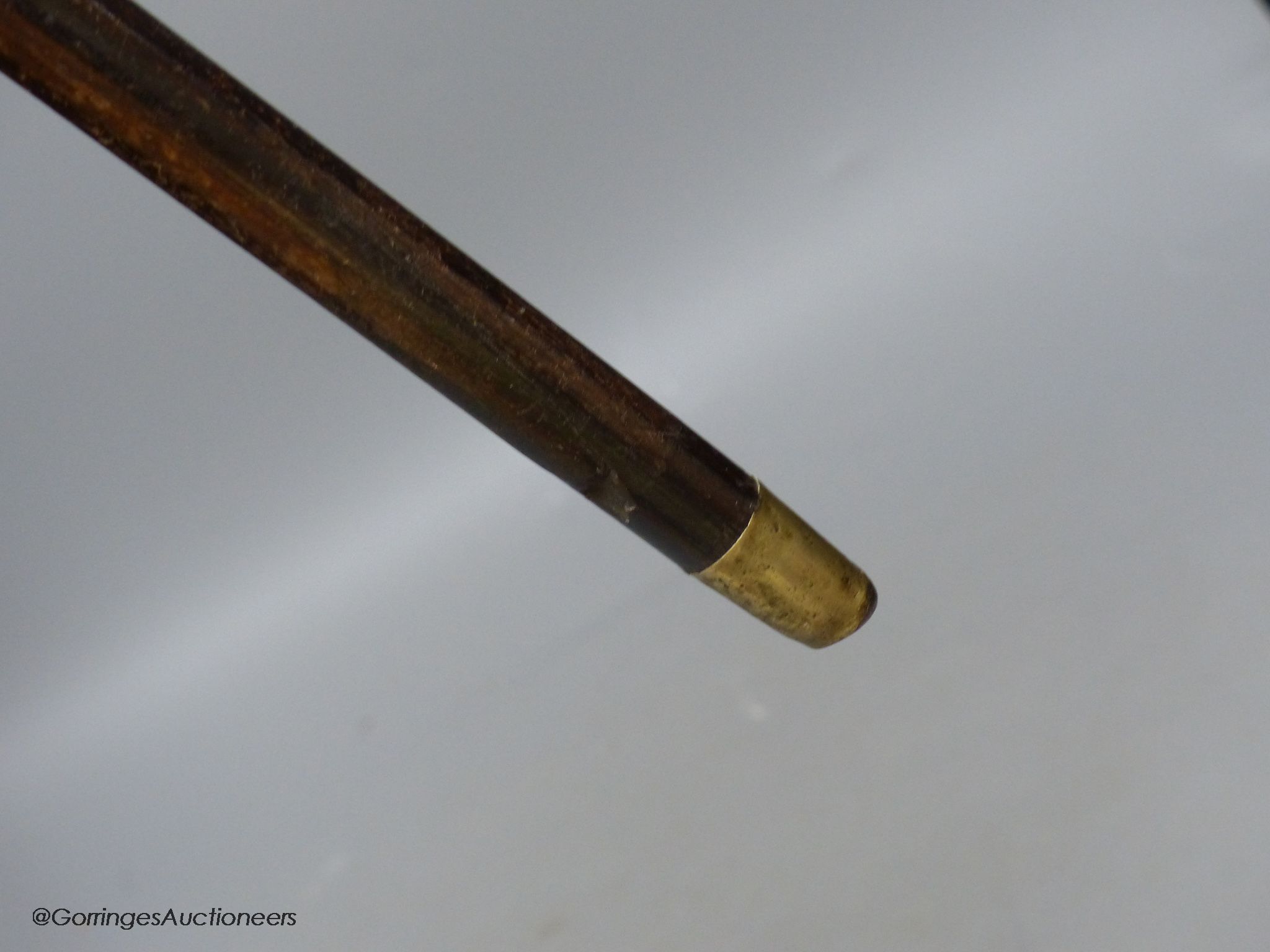 A rosewood walking stick, carved bone / ivory dog's head handle